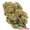 Gusher Indica Hybrid Flower in Washington DC