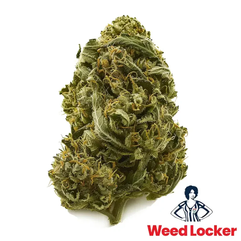 Blue Dream Hybrid Flower - Hybrid Cannabis Strains Washington DC