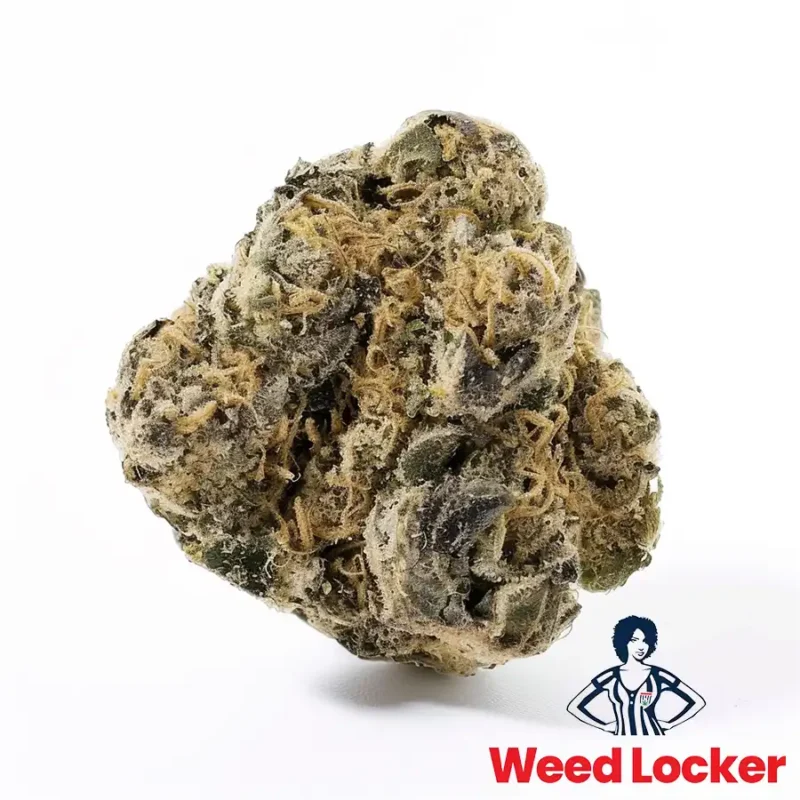Blueberry cannabis strain washington dc weedlocker