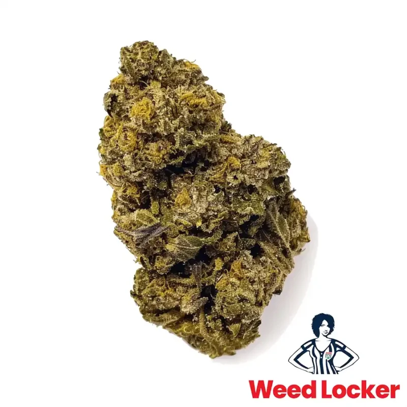 Purple Kush cannabis nug weedlocker