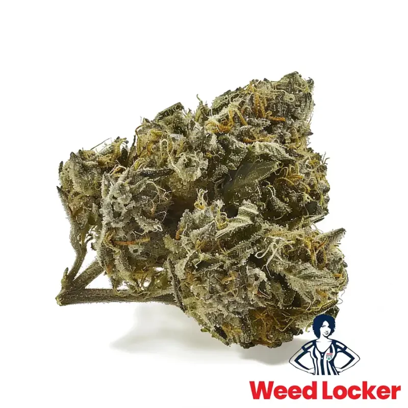 bubba kush cannabis nug weedlocker