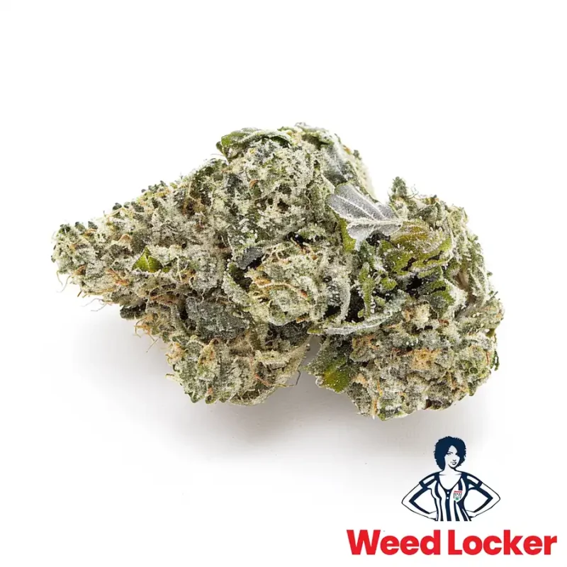 melonade hybrid weedlocker washington dc