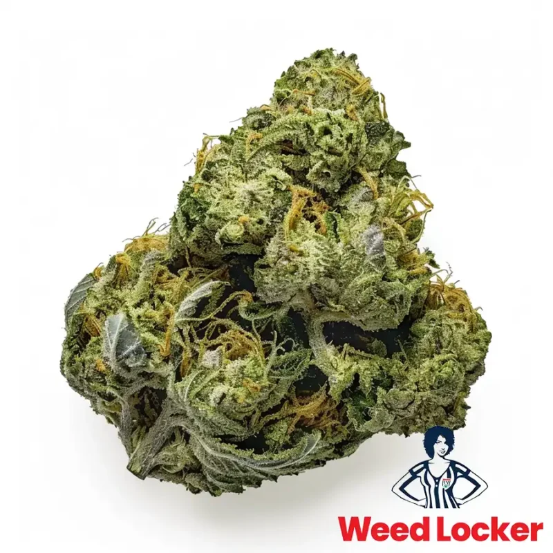 zkittlez cannabis strain washington dc weedlocker
