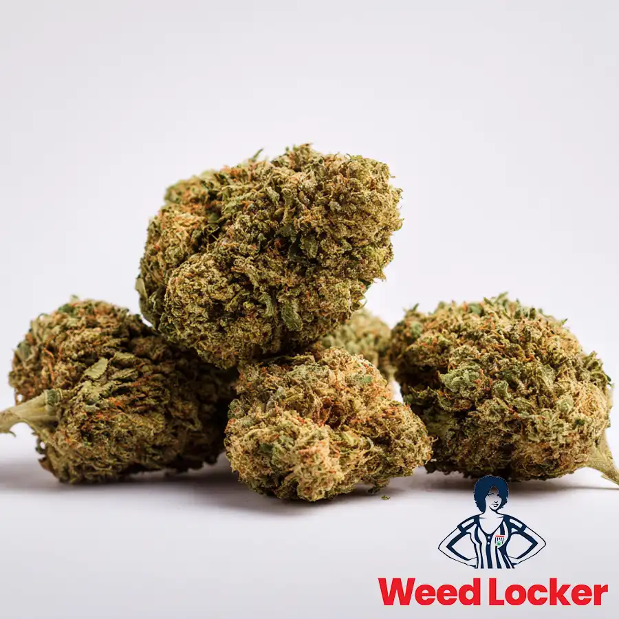 Black Sheep Cannabis Flower