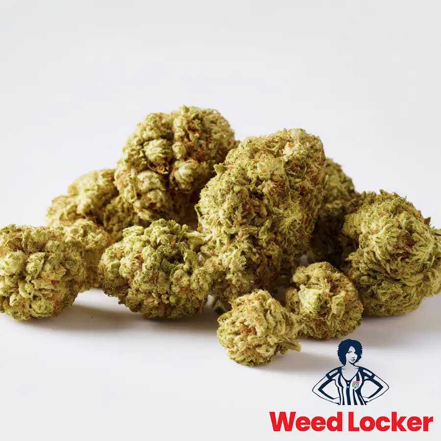 Candy Gelato Cannabis Flower