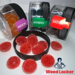 Alternative view of 5-Pack 500mg Gummy Bundle