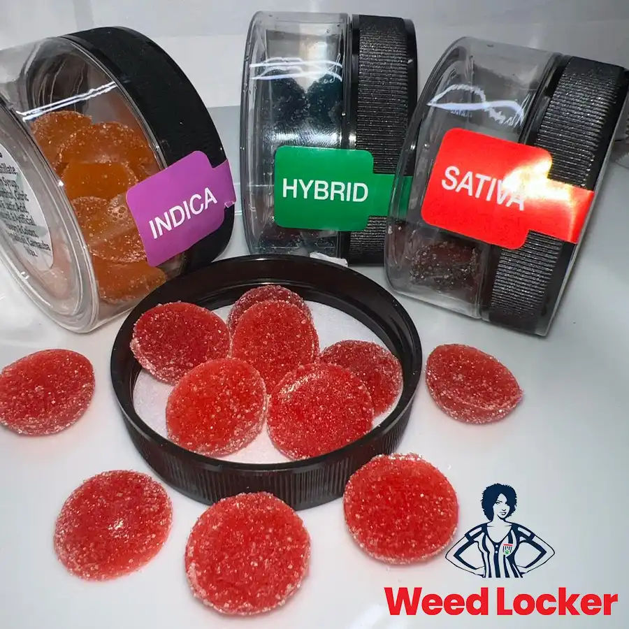 5-Pack 500mg Gummy Bundle - Image 2