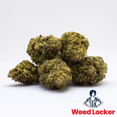 Sunset Sherbet Flower - WeedLocker