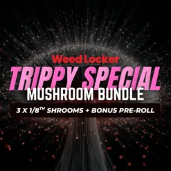 Special Mushroom Bundle in Washington DC from Weed Locker