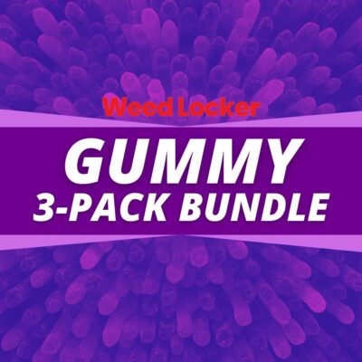 gummy 3-pack bundle